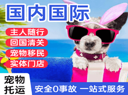 黄山空运公司国际宠物托运 【国